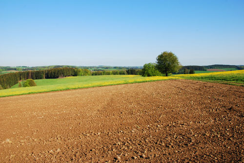 A View of a Tilled Farm Field